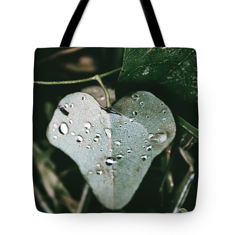 Cocculus Carolinus Tote Bag featuring the photograph Carolina Coralbead Heart Leaf by W Craig Photography