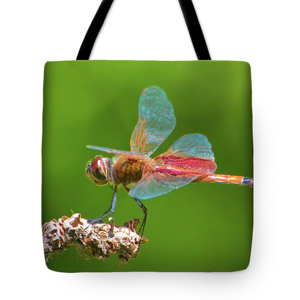Dragonfly Tote Bag featuring the photograph Carolina Saddlebags Dragonfly by Jerry Griffin
