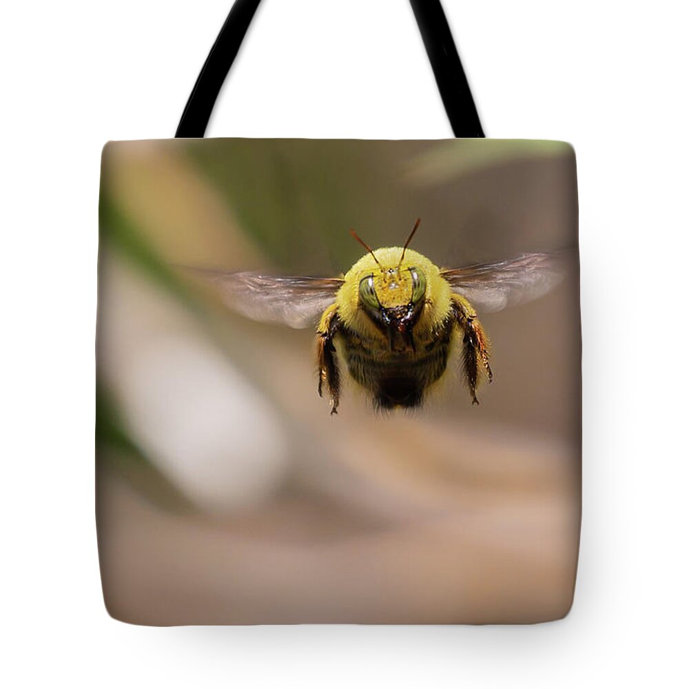 Carpenter Bee Tote Bag featuring the photograph Carpenter Bee Flying by Eva Lechner