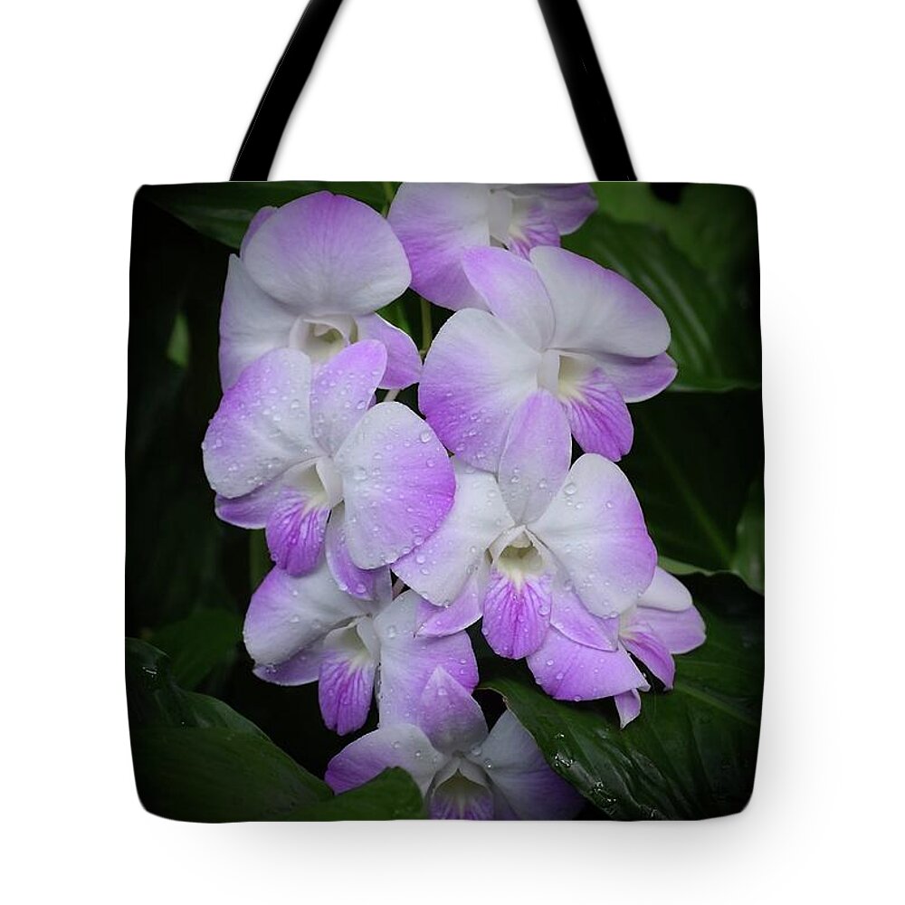Art Tote Bag featuring the photograph Cascading Orchids by Jeannie Rhode