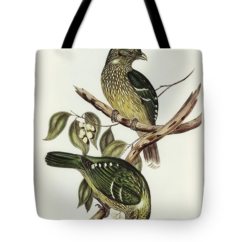 Cat Bird Tote Bag featuring the mixed media Cat Bird by World Art Collective