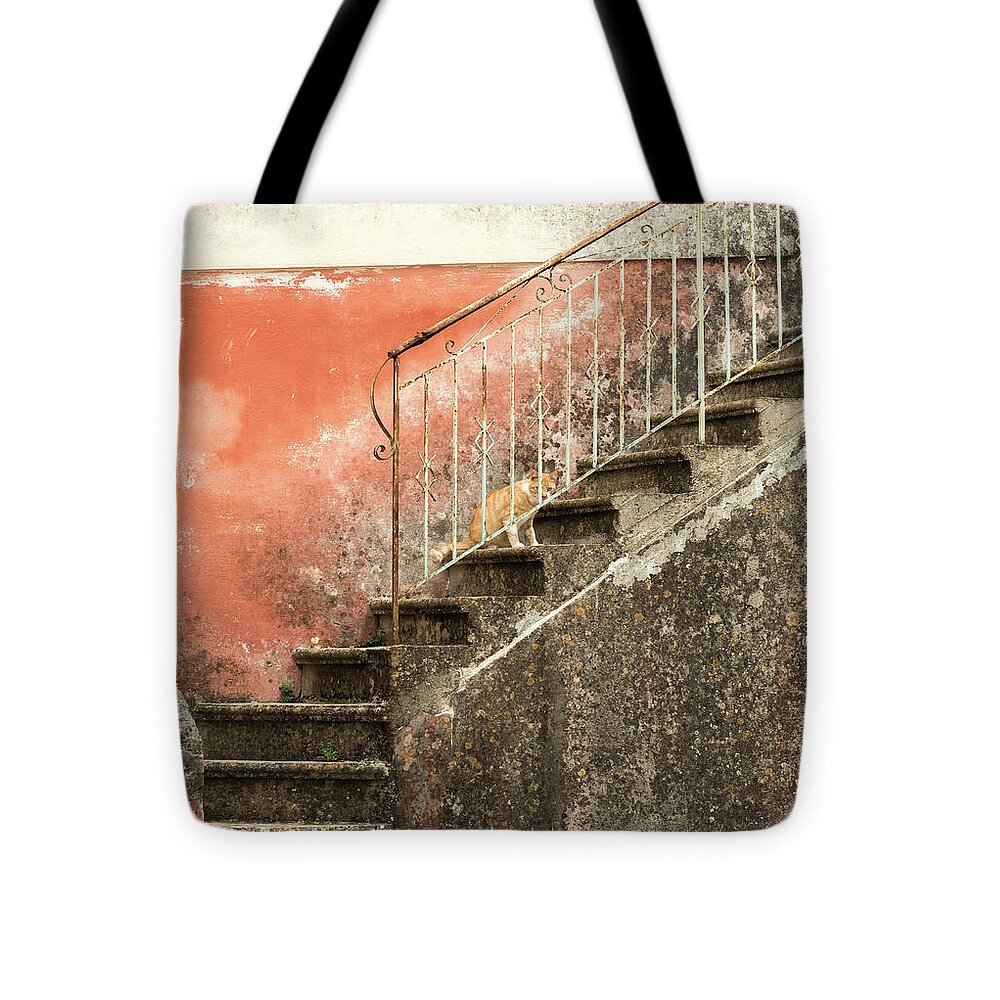 Corfu Tote Bag featuring the photograph Cat on Steps, Corfu, Greece by Sarah Howard