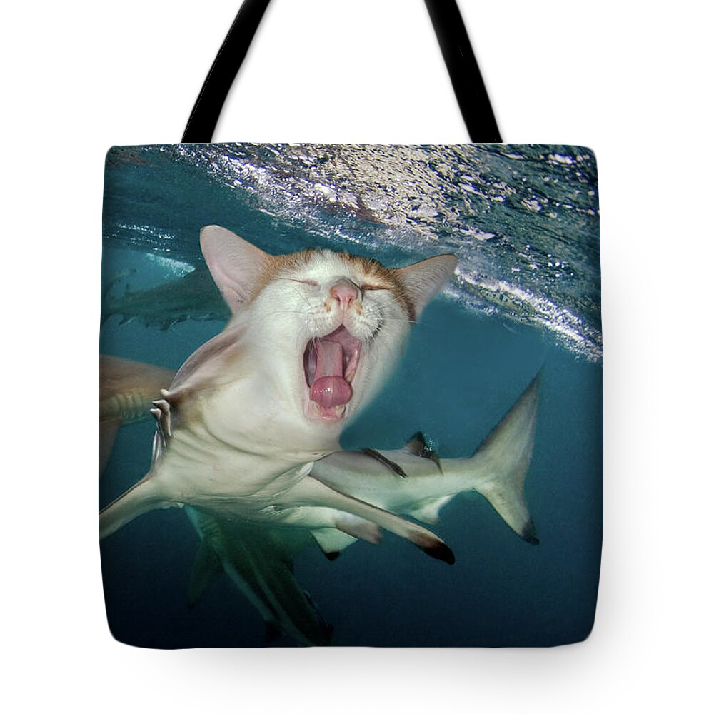 Hybrid Tote Bag featuring the digital art Cat Shark by Dray Van Beeck