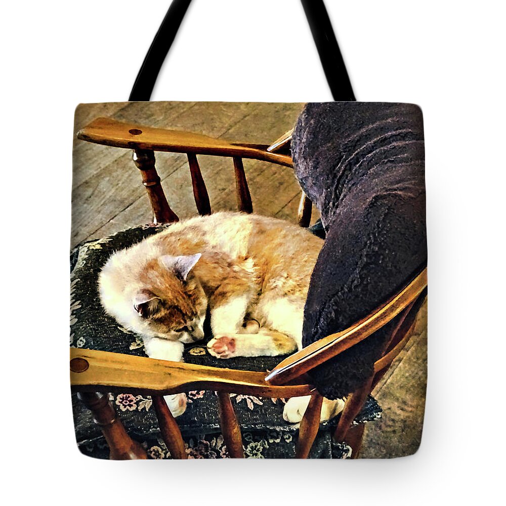 Cat Tote Bag featuring the photograph Cat Taking a Nap by Susan Savad