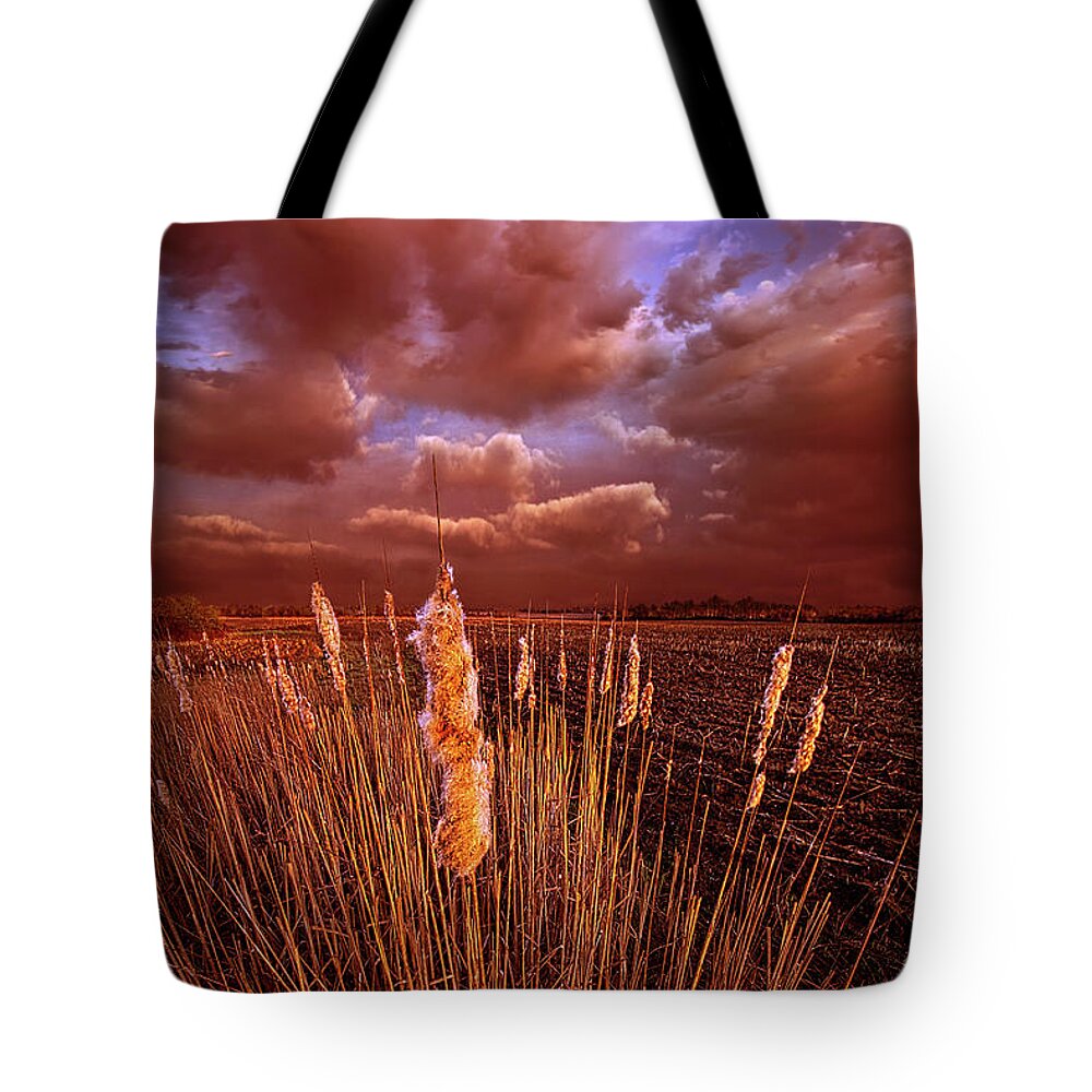 Fineart Tote Bag featuring the photograph Cat Tales by Phil Koch