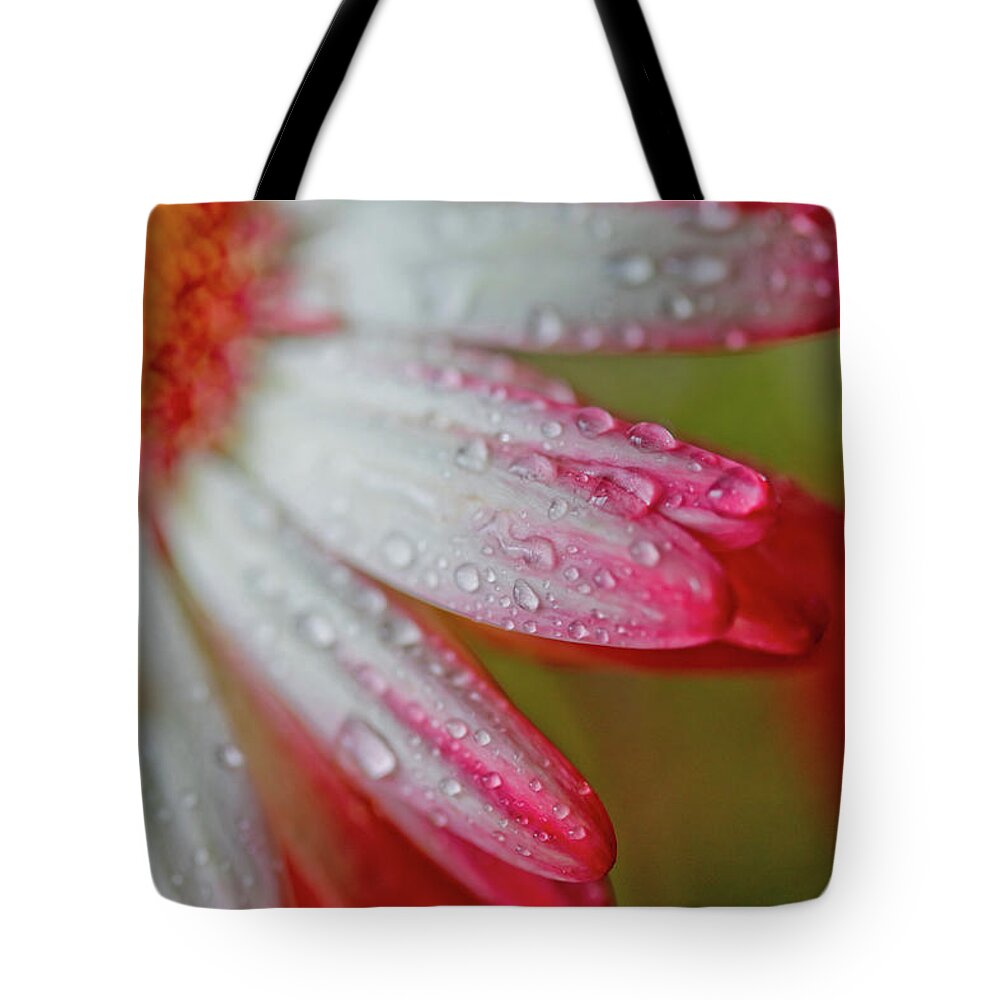 Pretty Daisy Flower Tote Bag featuring the photograph Catalaya Story by Az Jackson