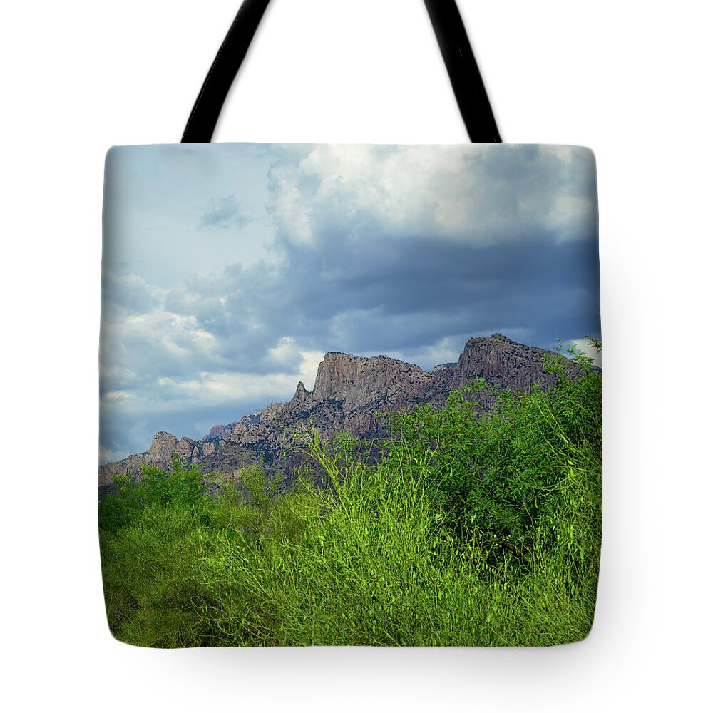 Arizona Tote Bag featuring the photograph Catalina Monsoon v25111 by Mark Myhaver