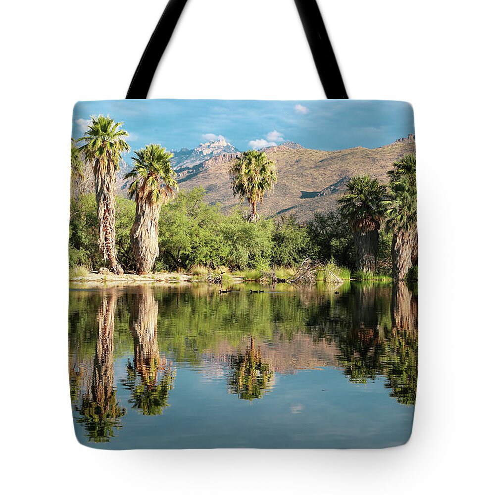 Reflection Tote Bag featuring the photograph Catalina Mountains Reflection by Katie Dobies