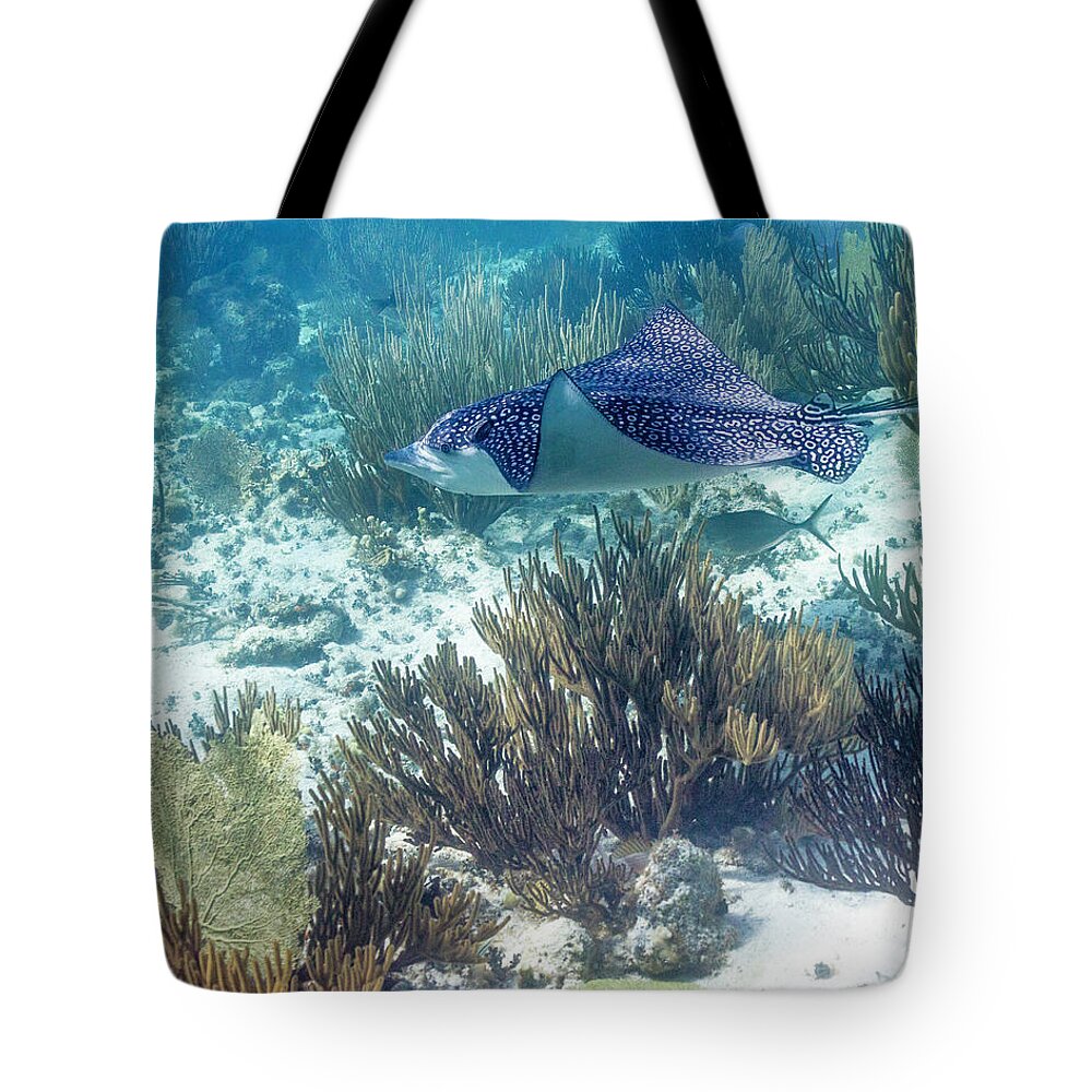 Grand Cayman Tote Bag featuring the photograph Catch Me If You Can by Lynne Browne