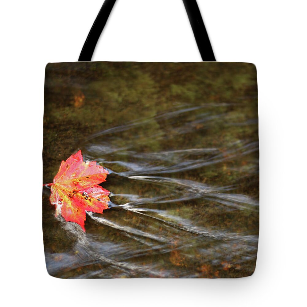 Autumn Leaves Tote Bag featuring the photograph Causing a Stir by Laurie Lago Rispoli