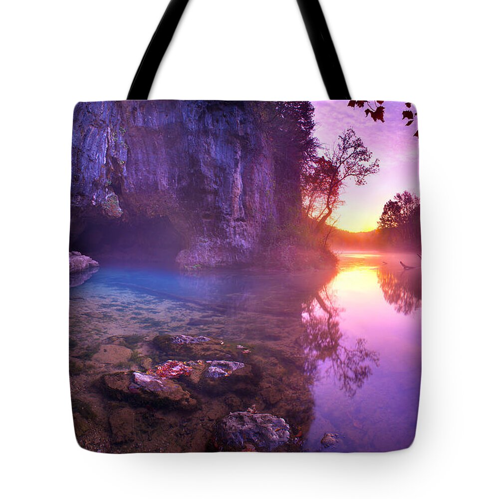 Spring Tote Bag featuring the photograph Cave Springs by Robert Charity