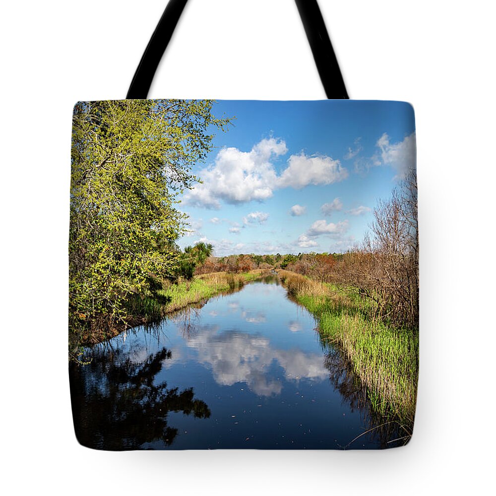Caw Caw Interpretive Center County Park Tote Bag featuring the photograph Cloudscape at Caw Caw by Cindy Robinson