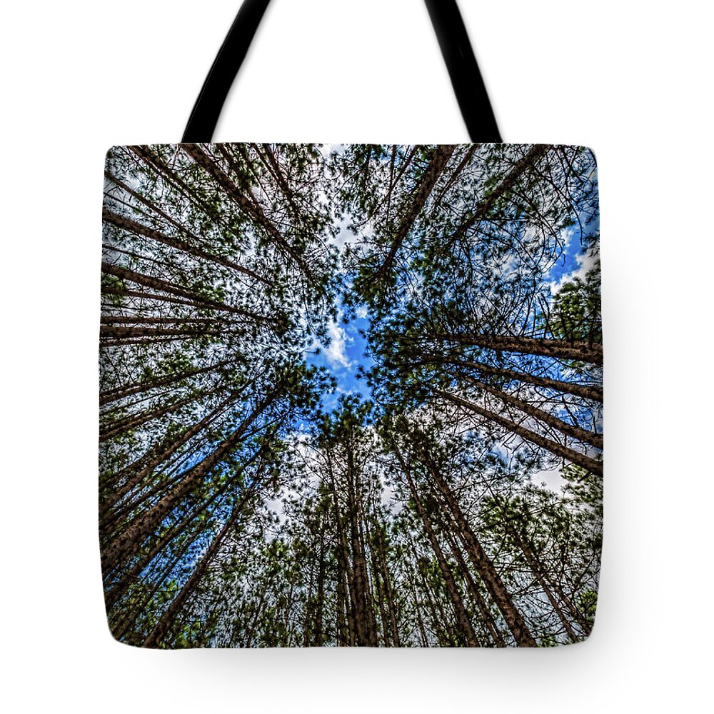 Higgins Lake Tote Bag featuring the photograph CCC Pines Lookup by Joe Holley