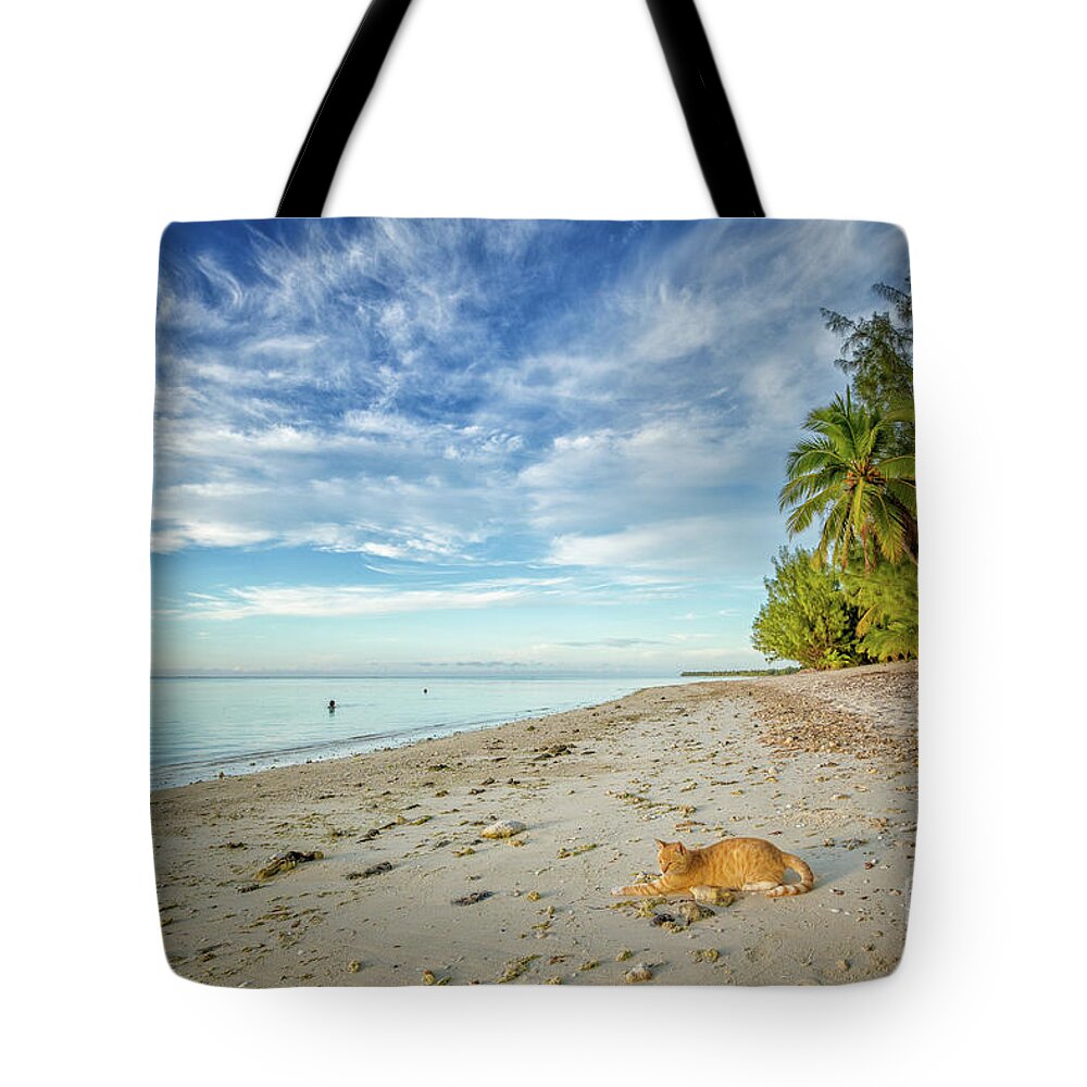Cat Tote Bag featuring the photograph CeCe the Beach Cat by Becqi Sherman