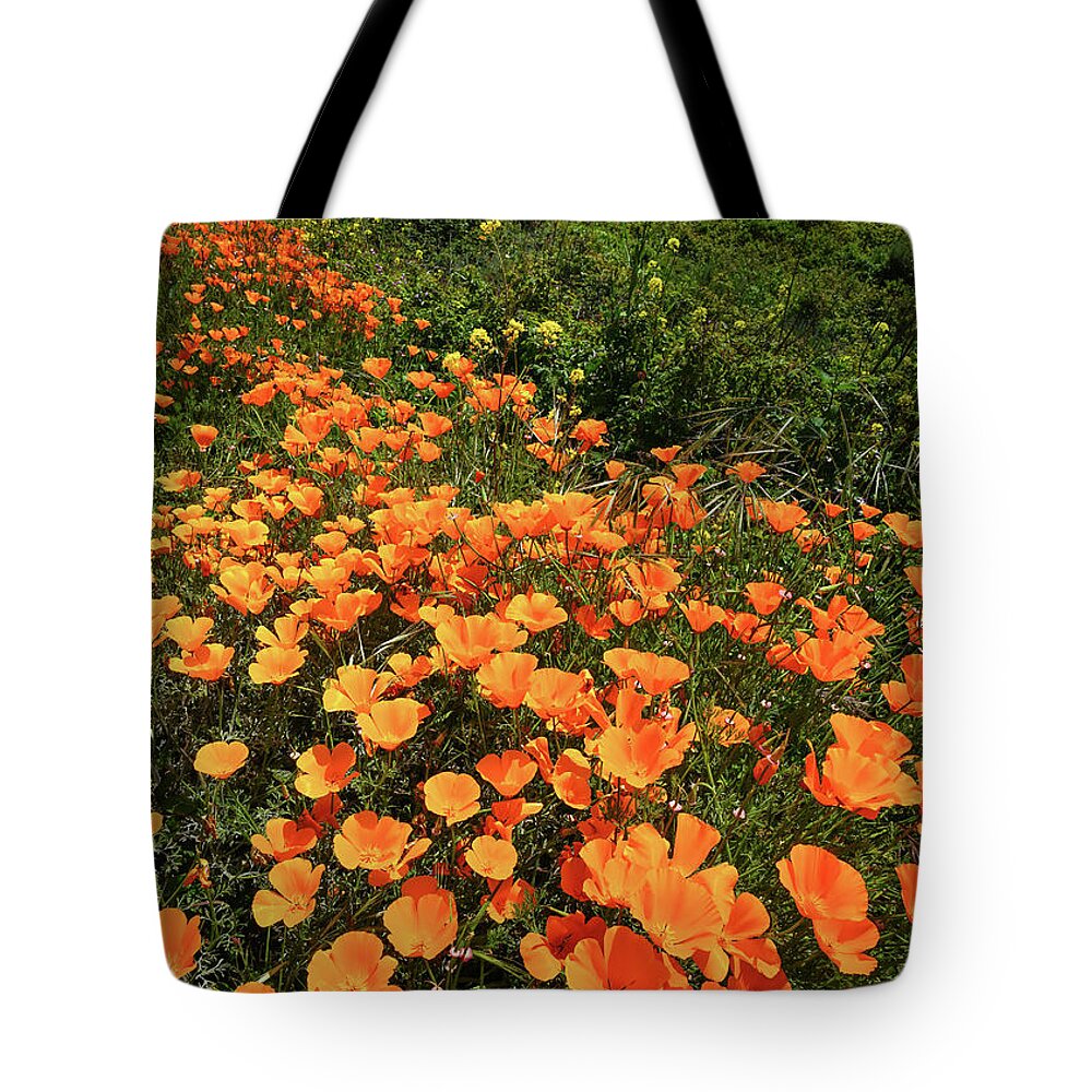 Poppies Tote Bag featuring the photograph Central Coast Poppies by Brett Harvey