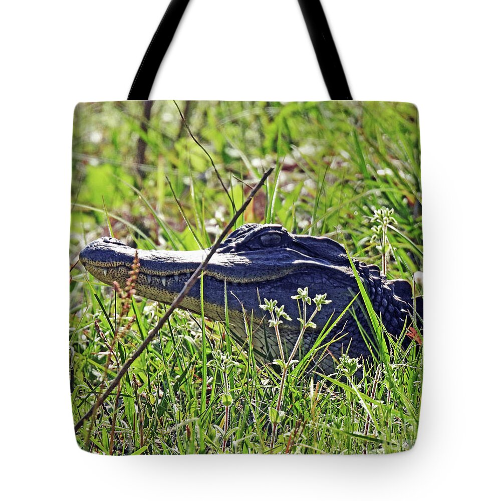 Wildlife Tote Bag featuring the photograph 4 Harris Neck NWR Yearling Gator by Lizi Beard-Ward