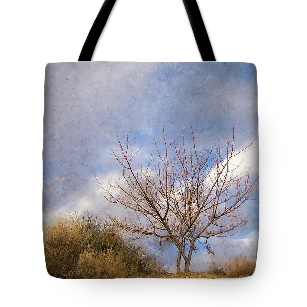 Scenic Tote Bag featuring the photograph Chamisa and Tree and Clouds Perched on a Hill by Mary Lee Dereske