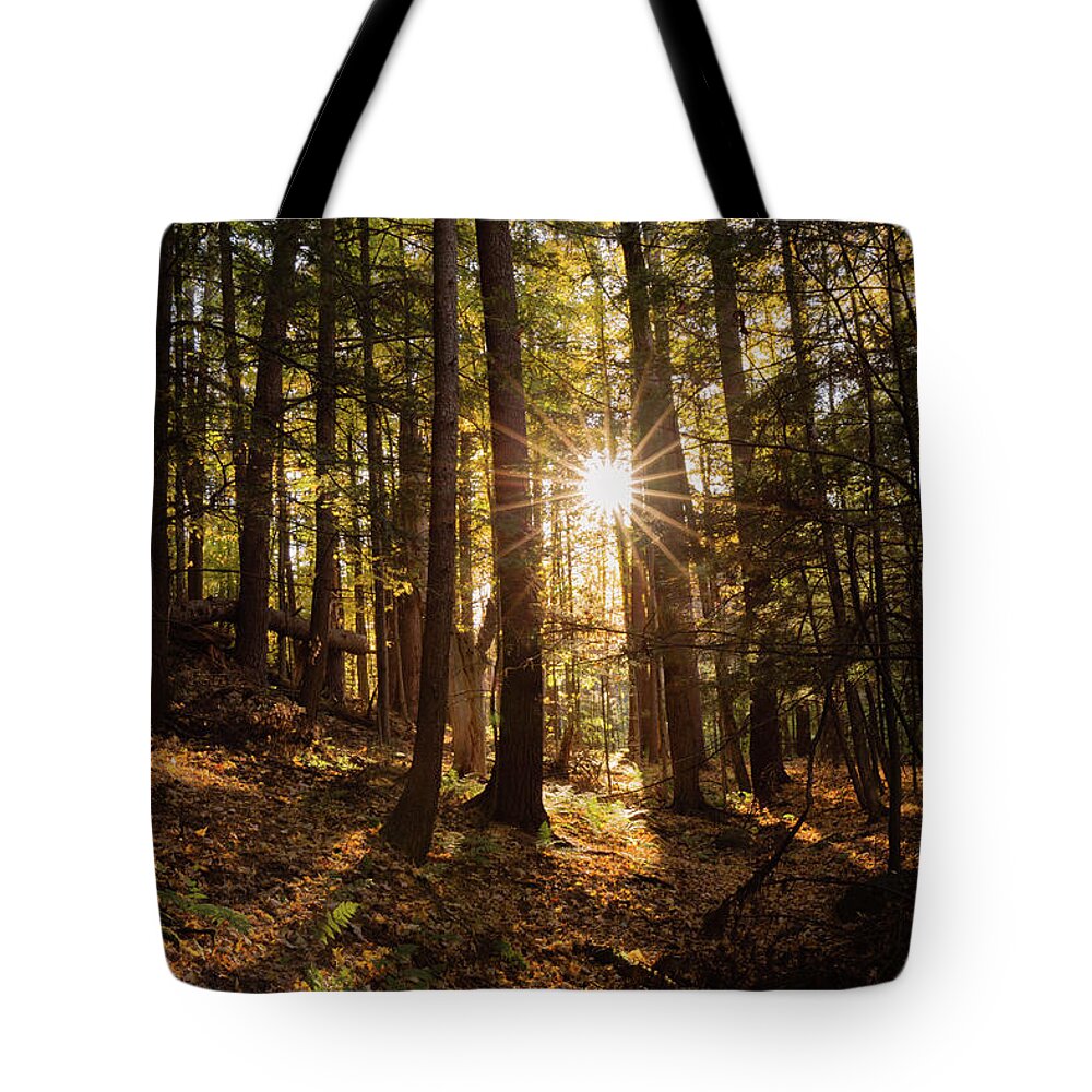 Sunset Tote Bag featuring the photograph Champlain Area Woods by Katie Dobies