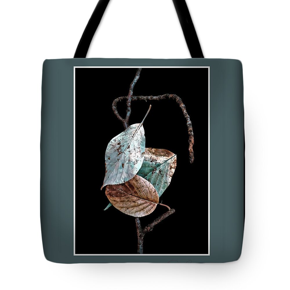 Leaves Tote Bag featuring the photograph Change Can Happen At Any Time by Rene Crystal