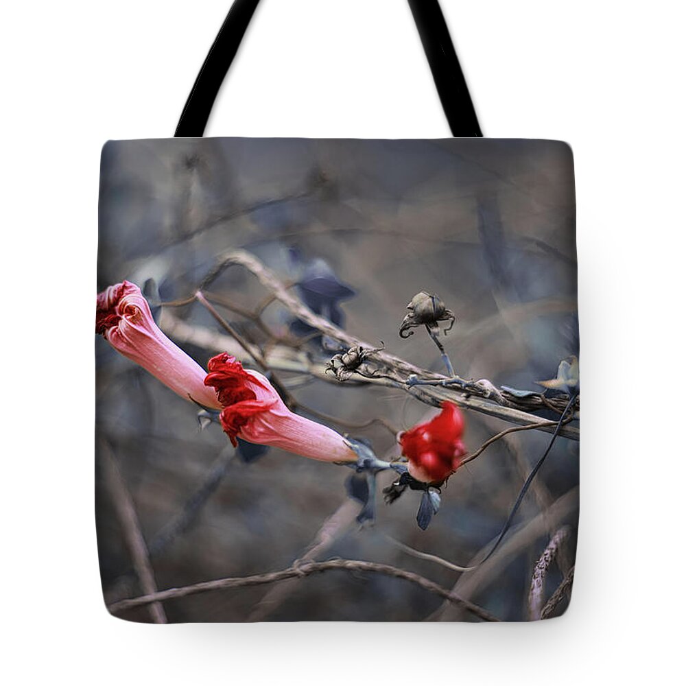 Nature Art Tote Bag featuring the photograph Chariots and Ropes by Gian Smith