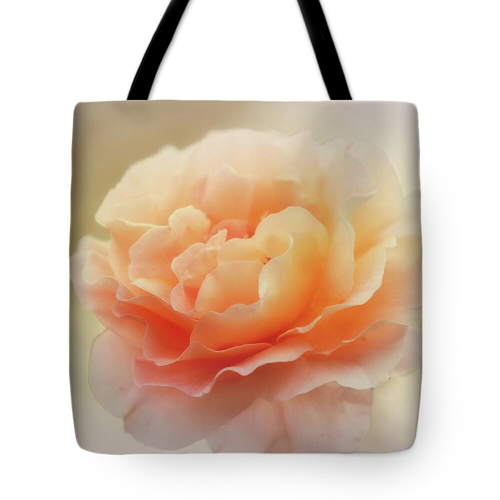 Flowers Tote Bag featuring the photograph Apricot Rose by Elaine Teague