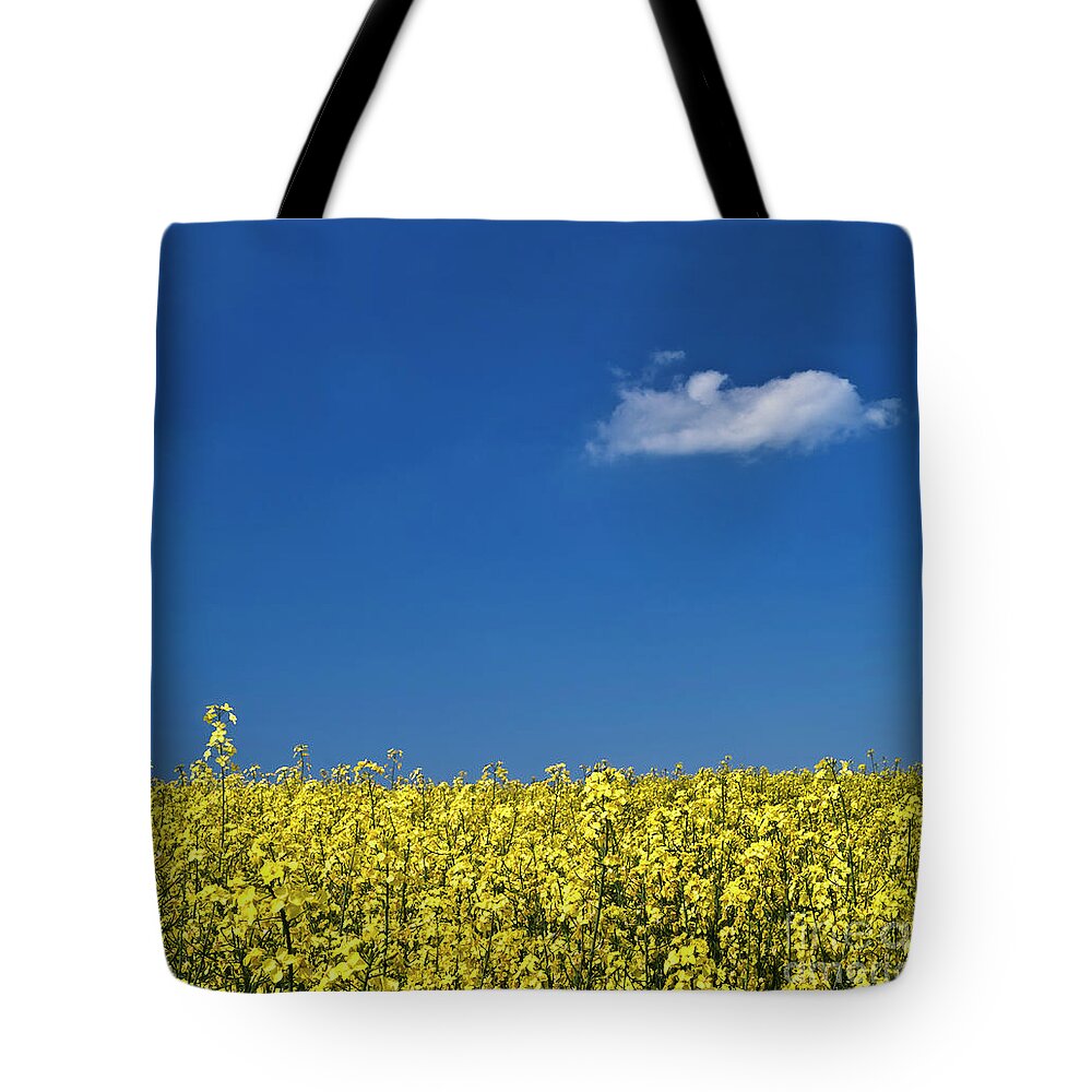 Chatting Talking Conversation Cloud Rapeseed Field Bright Yellow Flowers Blue Sky Single One Serenity Lonely Solitude Simplicity Untroubled Unwinding Minimalism Peaceful Restful Relaxing Mindfulness Delightful Beautiful Vibrant Glowing Glory Singing Happy Jolly Joy Cheerful Enjoyable Symphony Allure Summer Day Landscape Wonderland Colorful Stunning Magical Fairy Tale Fantastic Light Shining Sunny Pleasing Stylish Uk Poetic Artistic Conceptual Thoughtful Atmospheric Charming Impressions Uplifting Tote Bag featuring the photograph Chatting With A Cloud by Tatiana Bogracheva