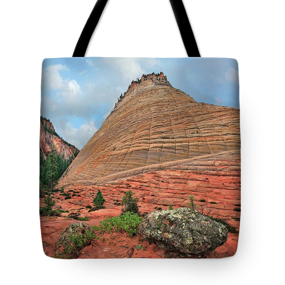00555583 Tote Bag featuring the photograph Checkerboard Mesa, Zion by Tim Fitzharris