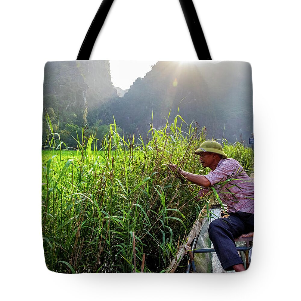 Ba Giot Tote Bag featuring the photograph Checking Bird's Nest by Arj Munoz