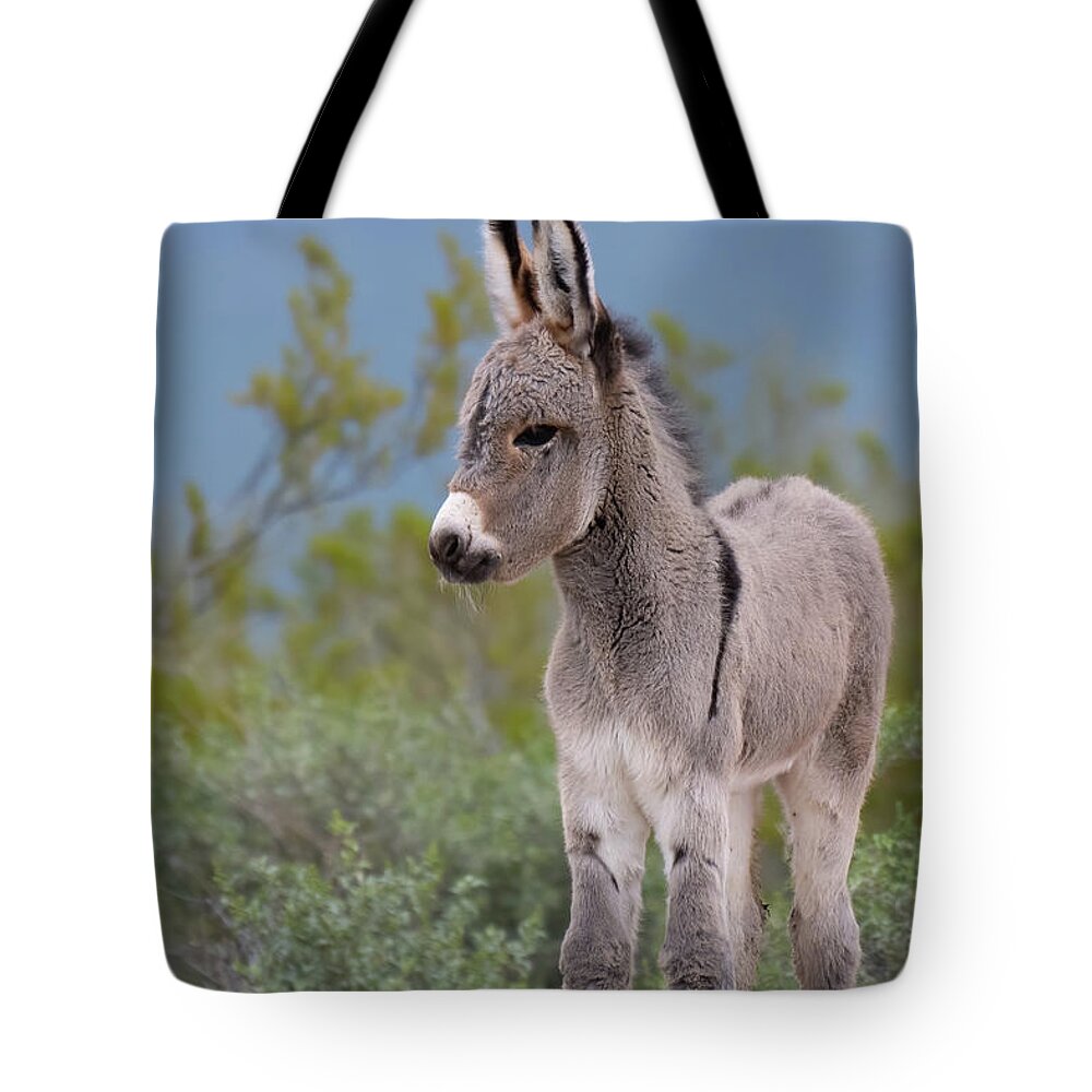 Wild Burro Tote Bag featuring the photograph Checking out the World by Mary Hone