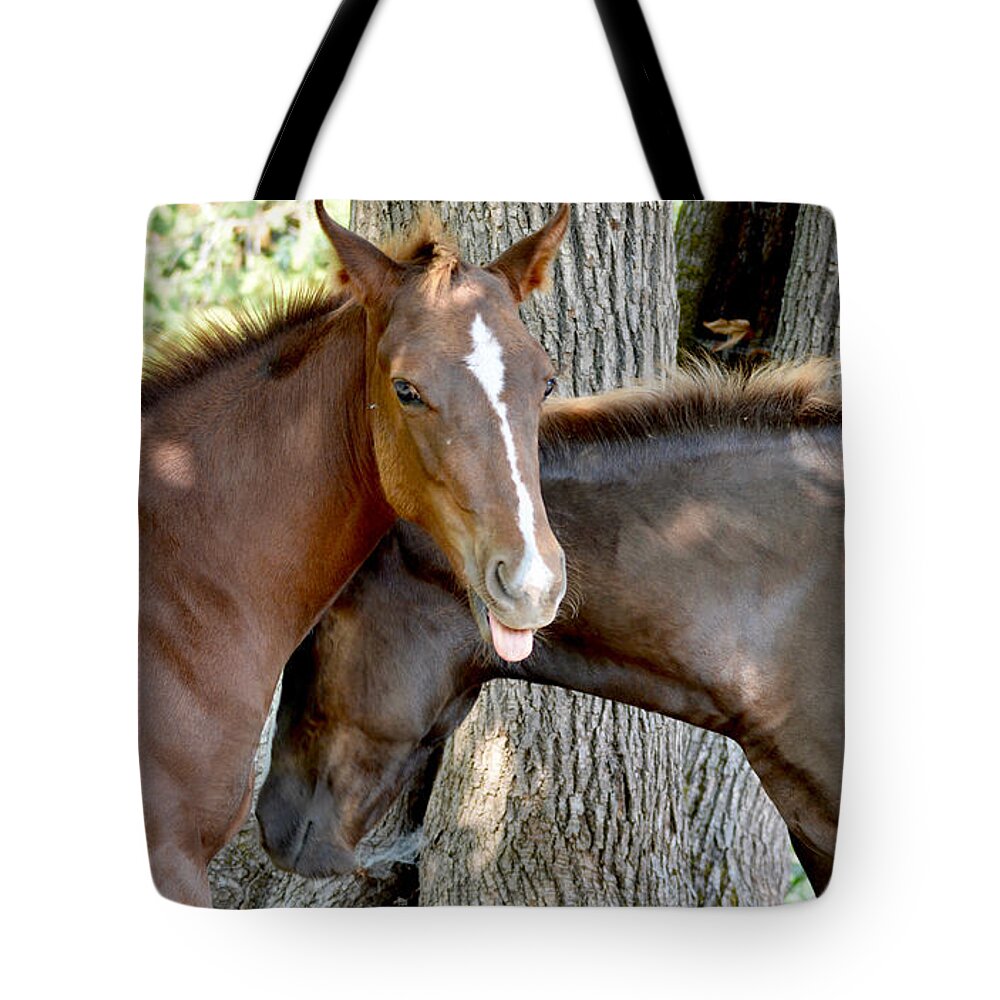 Mustang Horse Tote Bag featuring the photograph Cheeky Posa by Listen To Your Horse