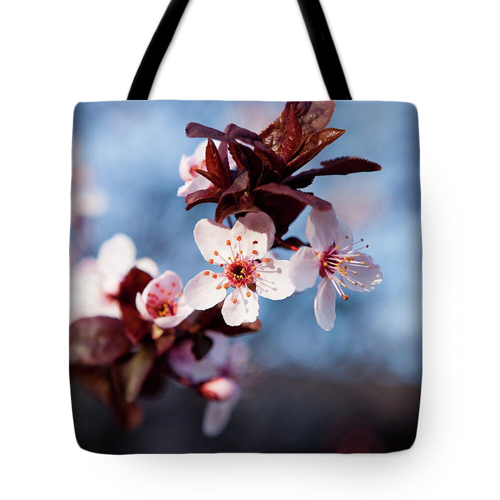 Pink Tote Bag featuring the photograph Cherry Blossoms and Blue Skies by Carolyn Ann Ryan