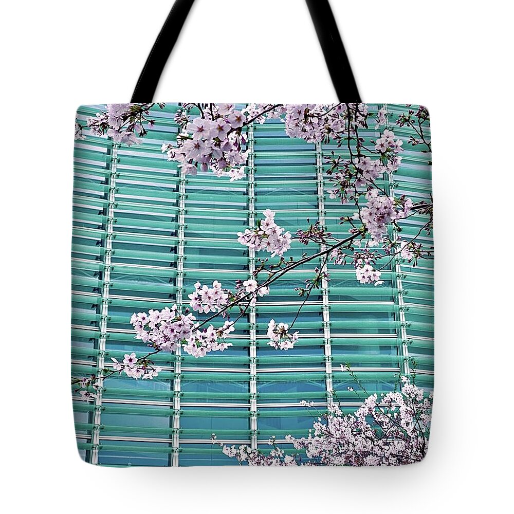 Flowers Tote Bag featuring the photograph Cherry Blossoms by Eena Bo
