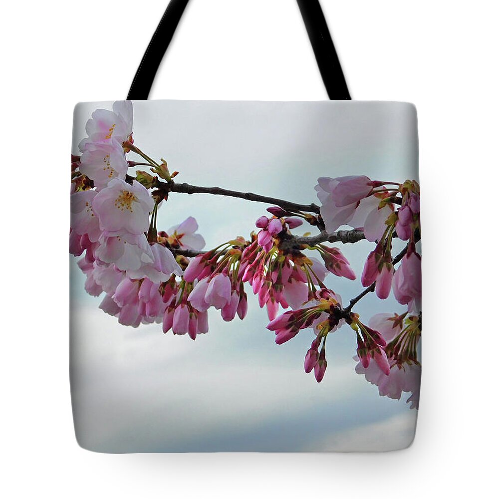 Cherry Blossoms Hanging Out Tote Bag for Sale by Emmy Marie Vickers