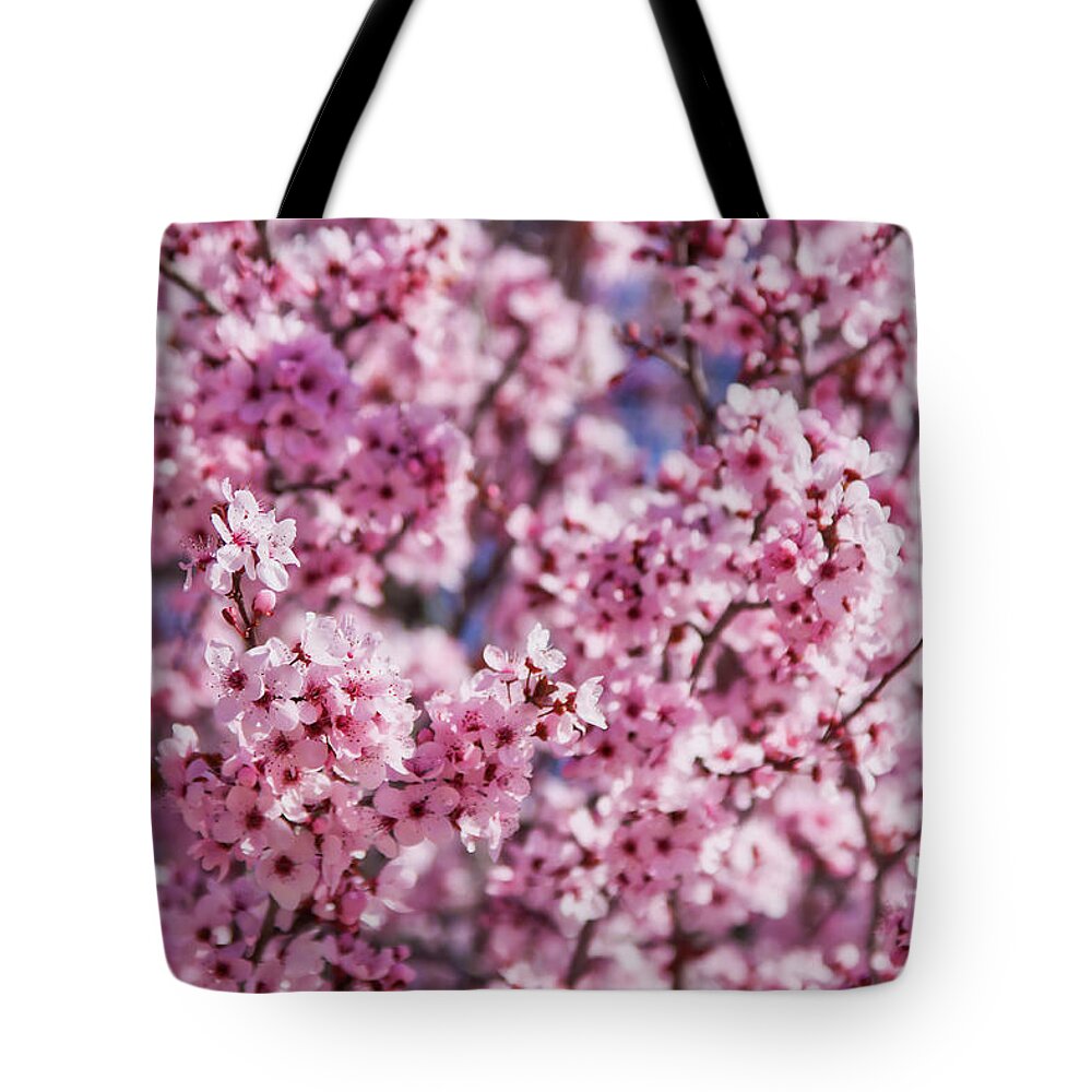 Cherry Tree Tote Bag featuring the photograph Cherry blossoms by Tatiana Travelways