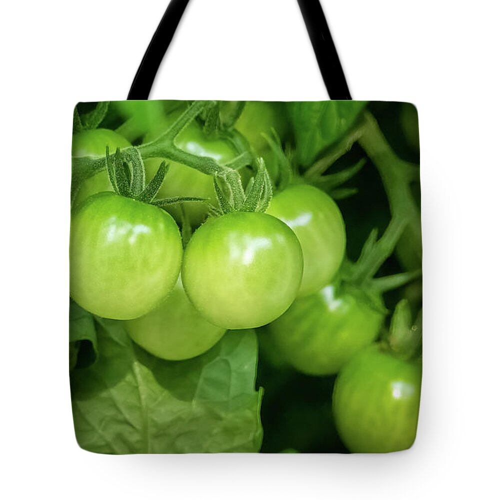 Vegetable Tote Bag featuring the photograph Cherry Green by John Kirkland