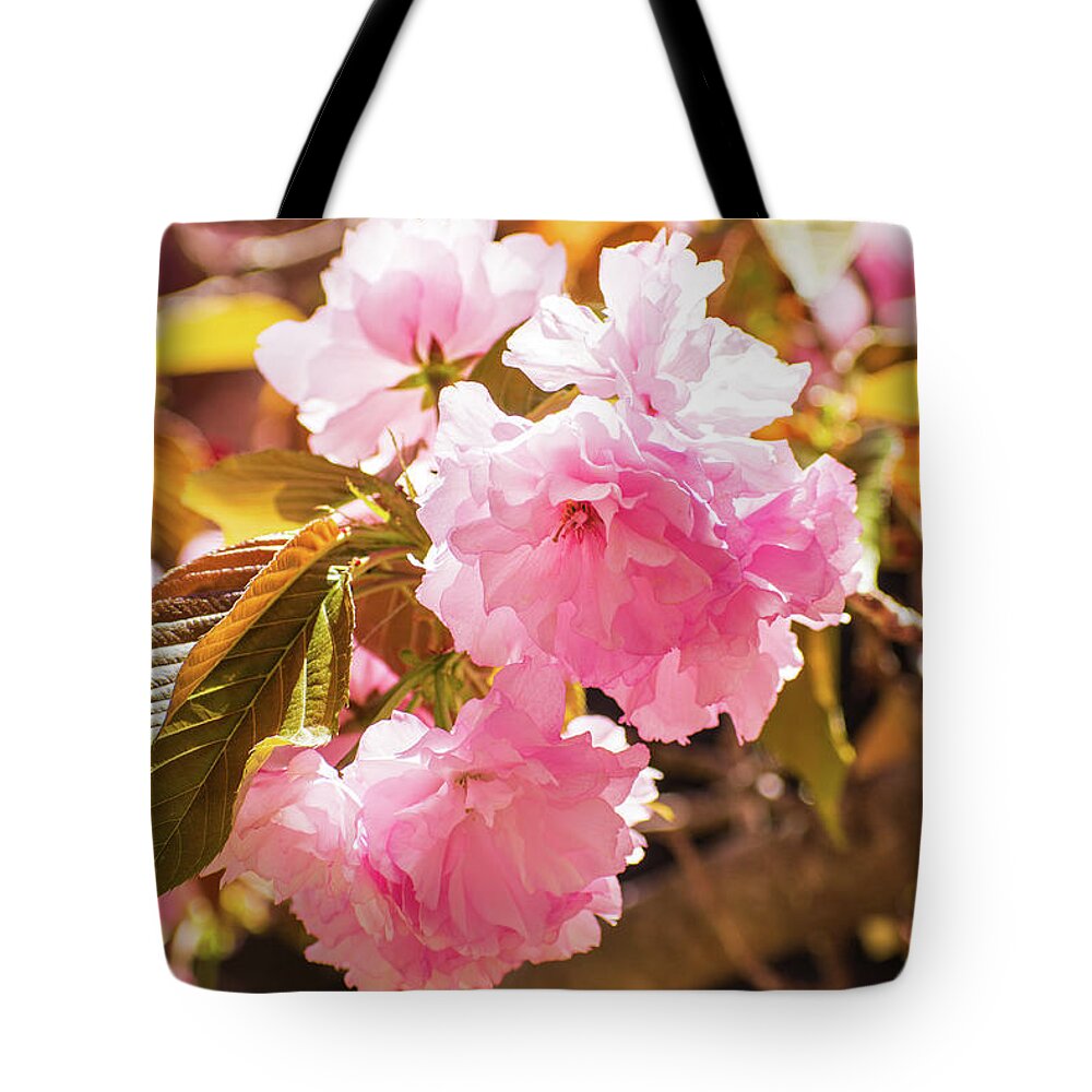 Kwanzan Tote Bag featuring the photograph Cherry Tree Beauty by Mary Ann Artz