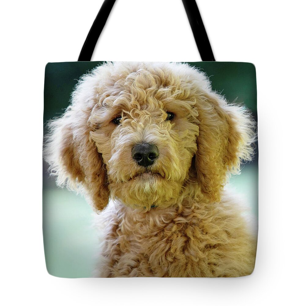 Chester Tote Bag featuring the photograph Chester 10 by Rebecca Cozart