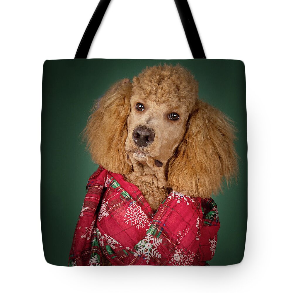 Chester Tote Bag featuring the photograph Chester Xmas 5 Square by Rebecca Cozart