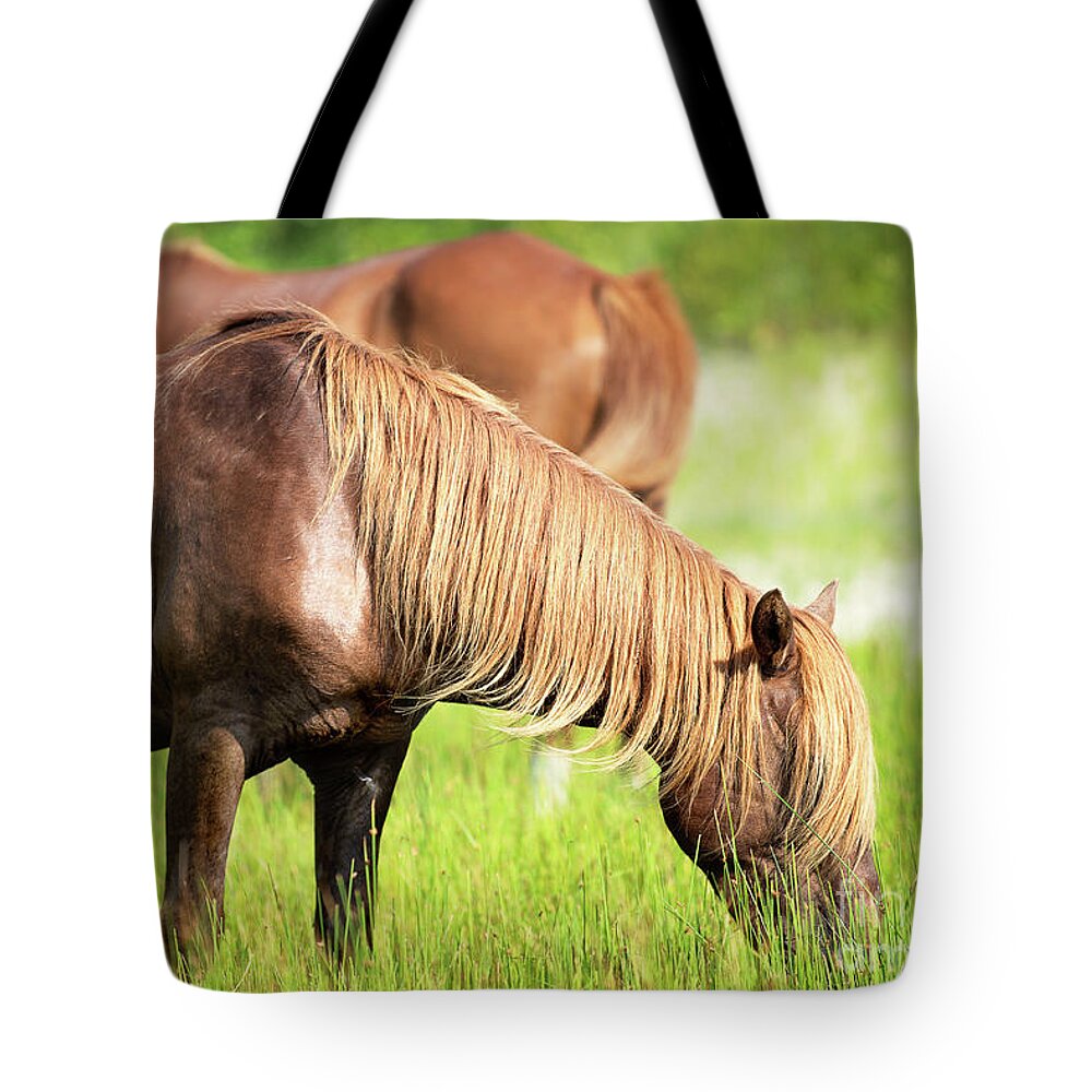 Horse Tote Bag featuring the photograph Chestnut horse grazing in a meadow by Rehna George