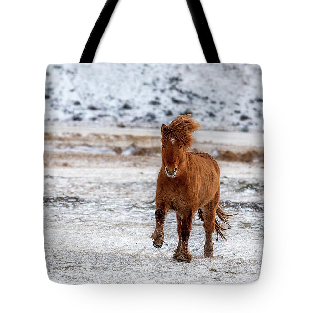 Running Tote Bag featuring the photograph Chestnut Icelandic horse running across a frozen and snowy meado by Jane Rix