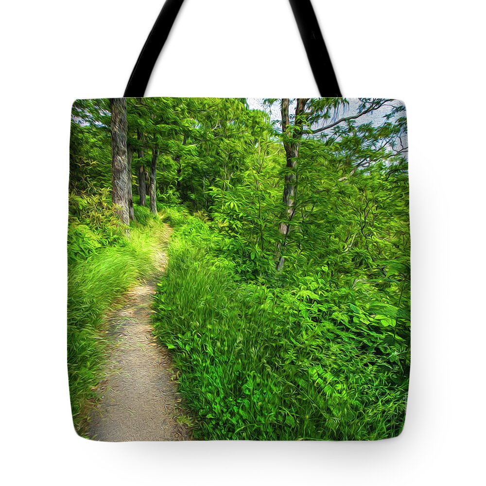 Chestoa View Tote Bag featuring the mixed media Chestoa View in the Blue Ridges by Shelia Hunt