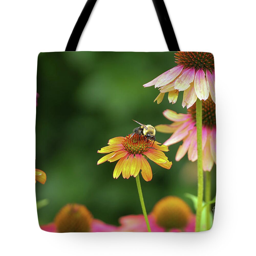 Flowers Tote Bag featuring the photograph Cheyenne Spirit Coneflowers with a bee. by Bentley Davis