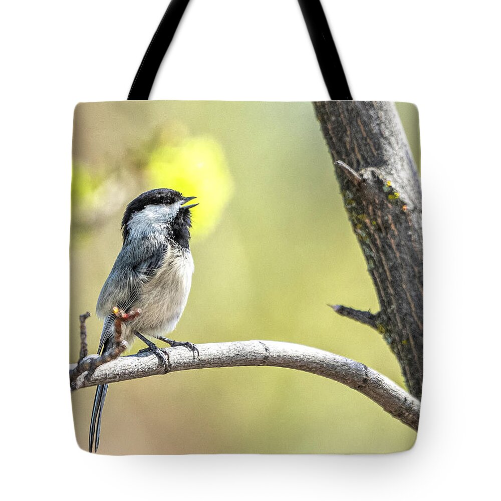 Bird Tote Bag featuring the photograph Chickadee A Calling by Pamela Dunn-Parrish