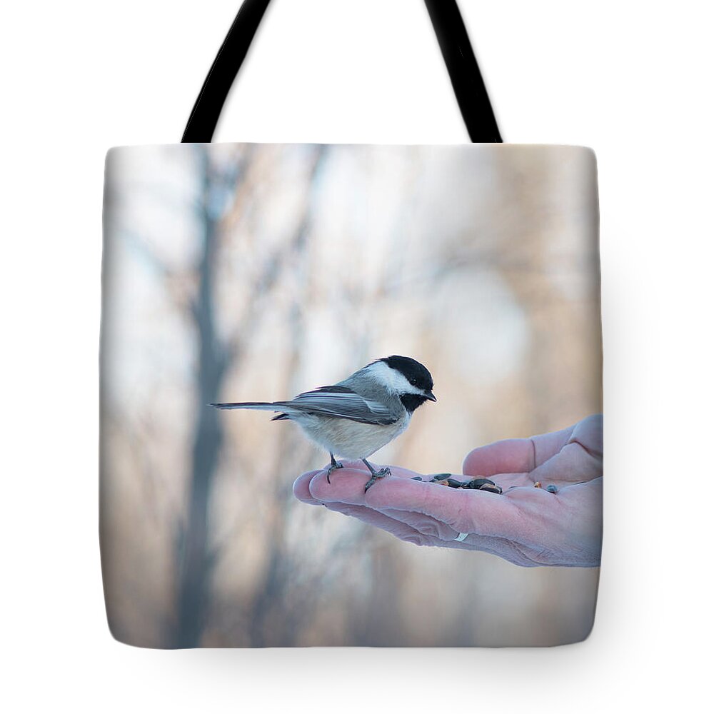 Chickadee Tote Bag featuring the photograph Chickadee On Hand by Karen Rispin