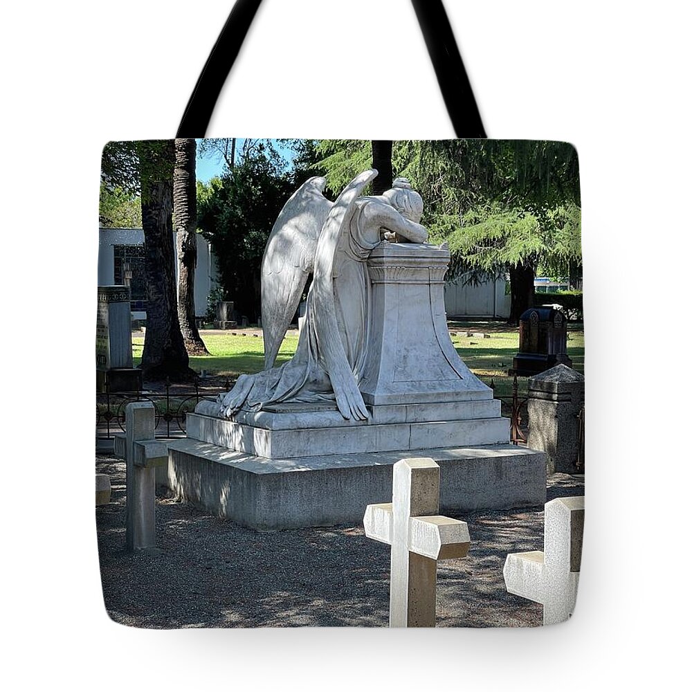 Chico Tote Bag featuring the photograph Chico Angel by Suzanne Lorenz