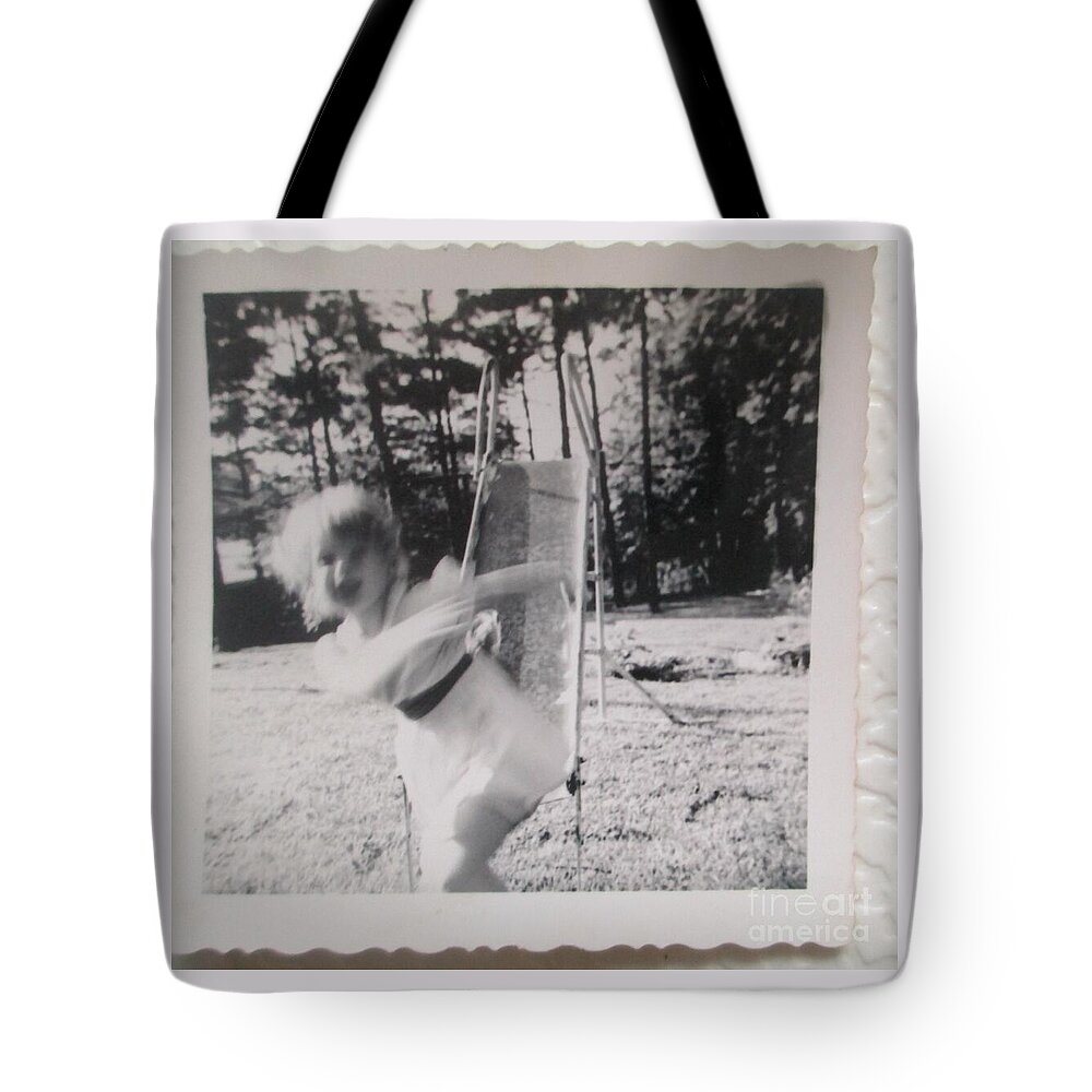 Photograph Tote Bag featuring the photograph Childhood Slides Away by Lynn Raizel Lane