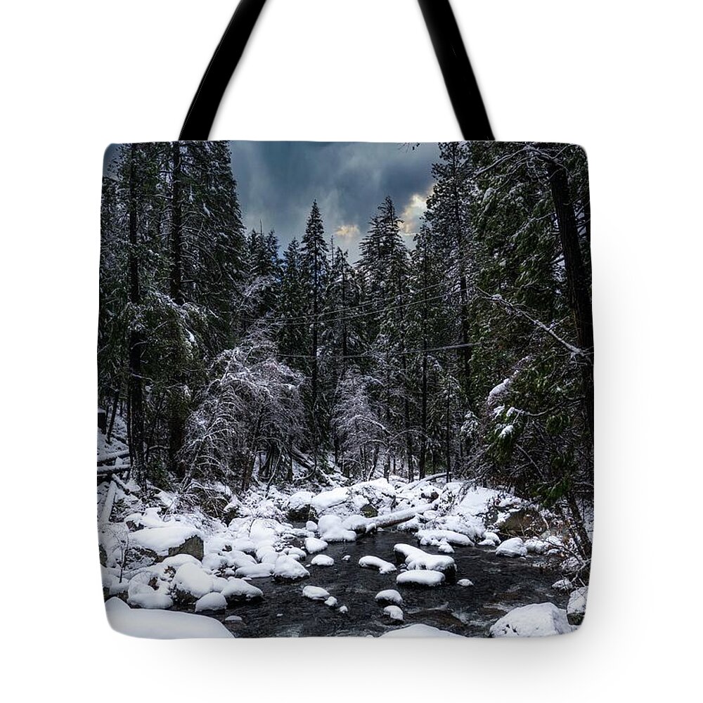  Tote Bag featuring the photograph Chill In the Air by Devin Wilson