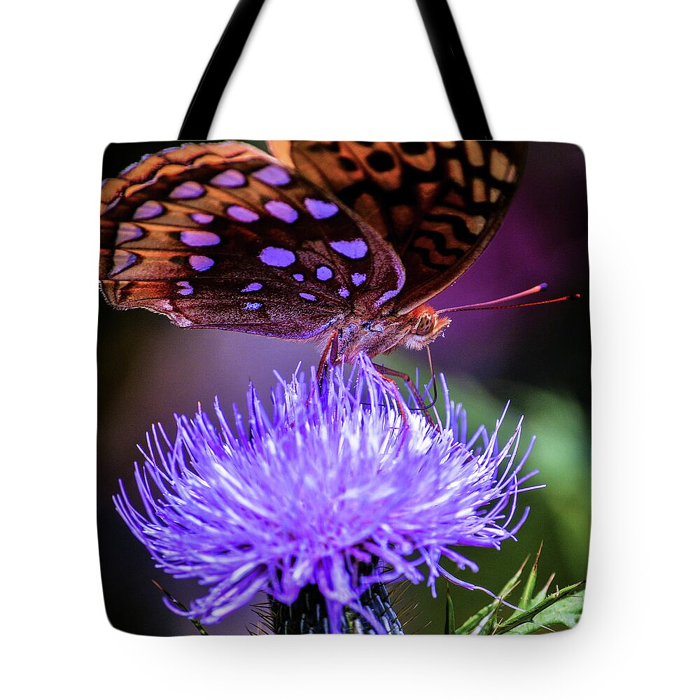 Butterfly Tote Bag featuring the photograph Chillin' by Addison Likins