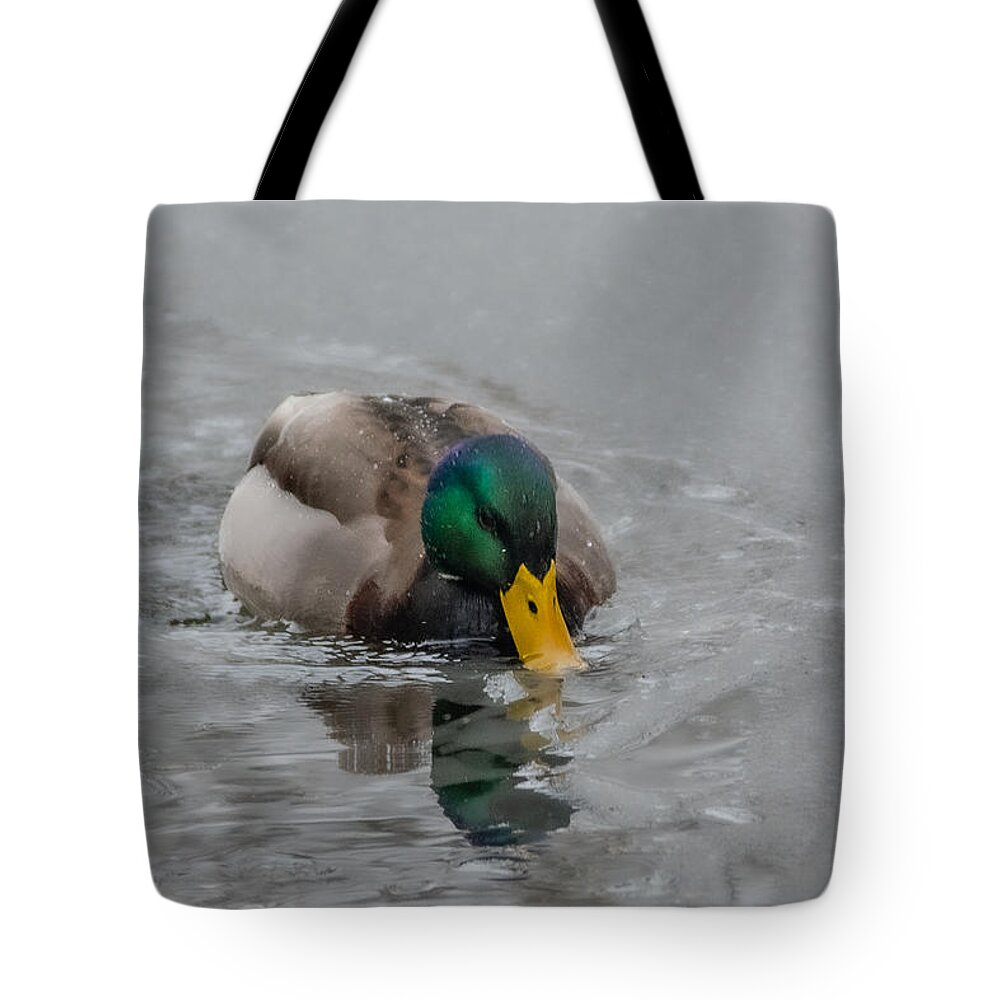 Bird Tote Bag featuring the photograph Chilly for Dinner by Linda Bonaccorsi