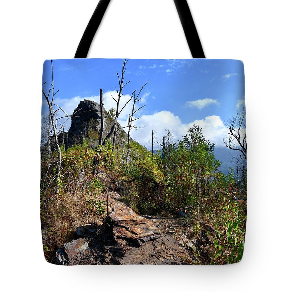 Chimney Tops Tote Bag featuring the photograph Chimney Tops 19 by Phil Perkins